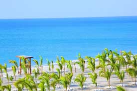 Riu Playa Blanca - All Inclusive Beach Resort 
